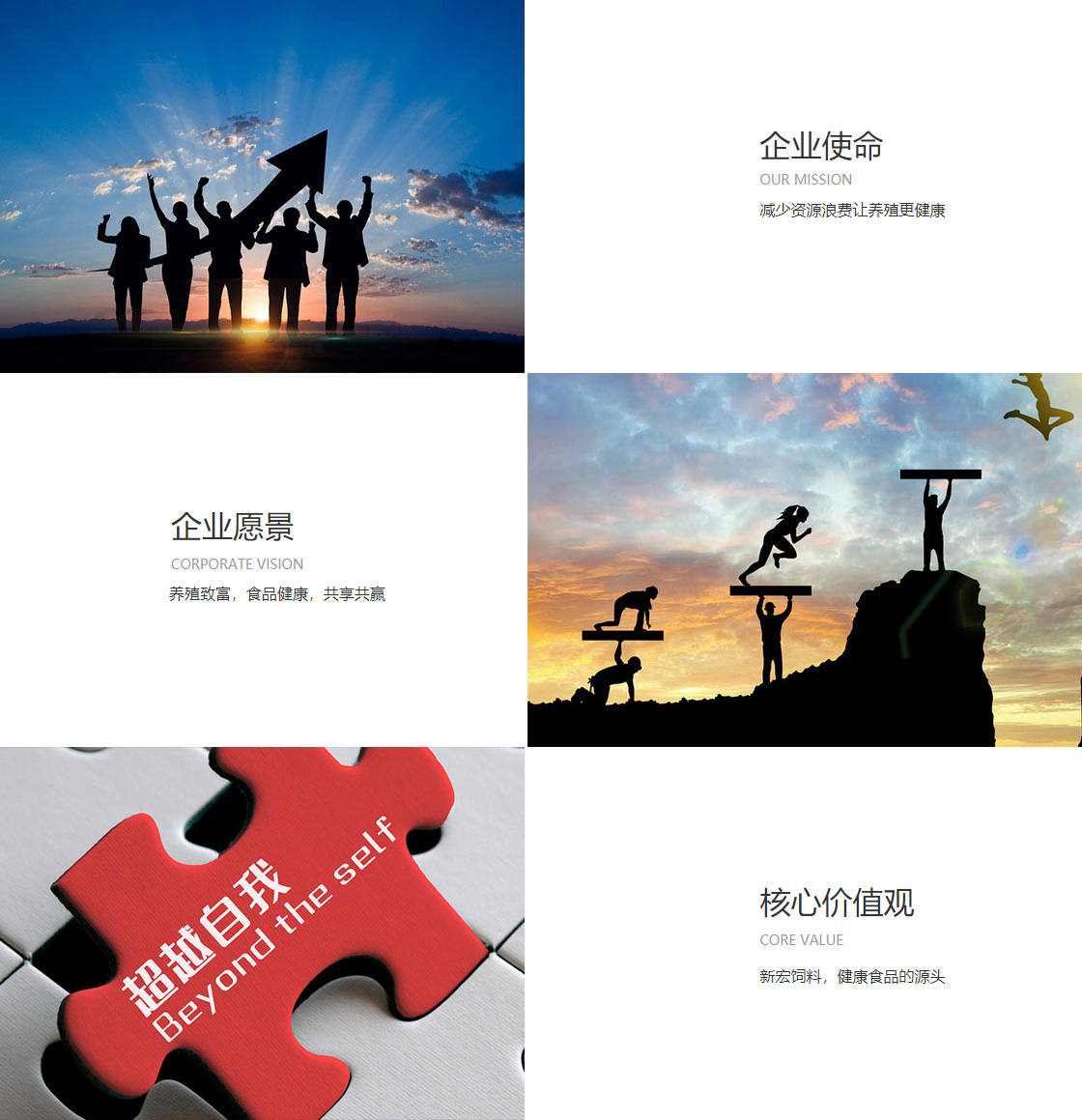 hth华体汇(图1)